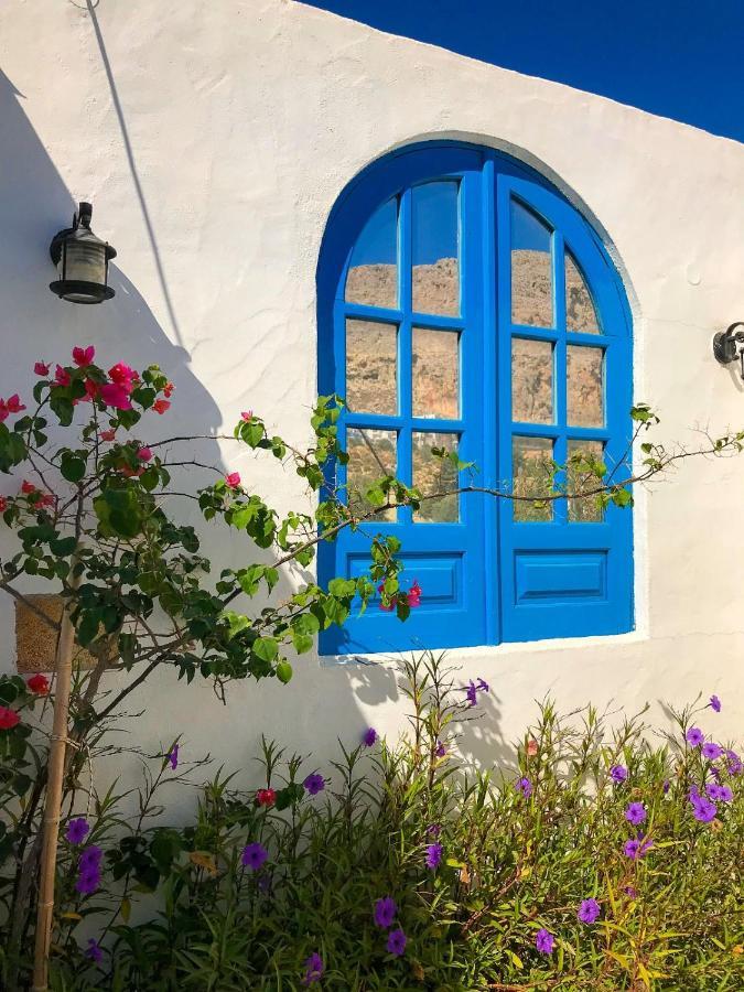 Pontoria Stegna Studios Archangelos  Eksteriør billede